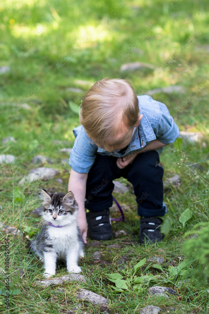 boy and cat boy and cat