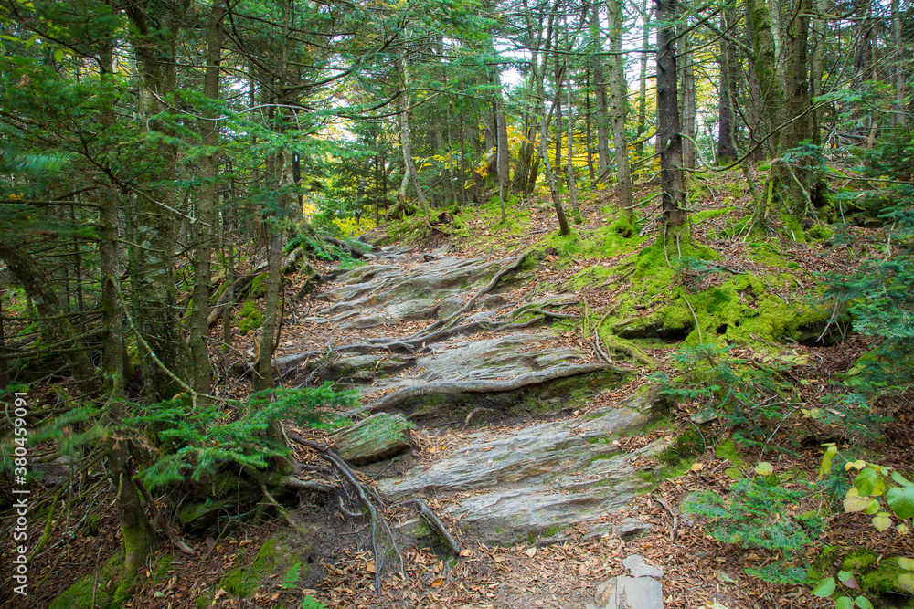 A rocky saection of the Apalacian trail near Greylock Ridge and Adams, Massachusetts A rocky saection of the Apalacian trail near Greylock Ridge and Adams, Massachusetts