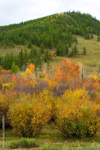 Fototapeta Naklejka Na Ścianę i Meble -  Landscapes and views in Gorkhi-Terelj National Park, Mongolia. Autumn season in Mongolia, Beautiful autumn nature.