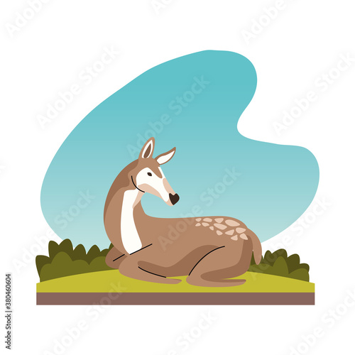 wild fawn animal nature icon