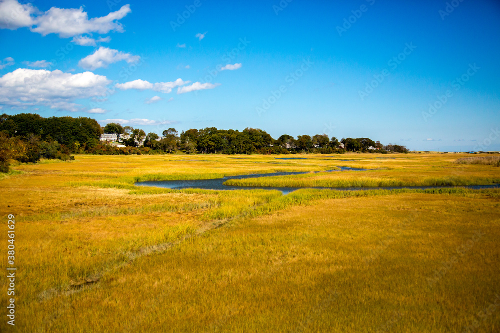 Saltgrass wetlands galong Cape Cod Bay near Sandwich, Massachusetts
