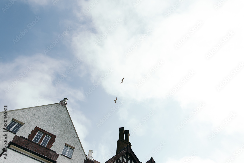 Beautiful home with birds flying in the sky Beautiful home with birds flying in the sky