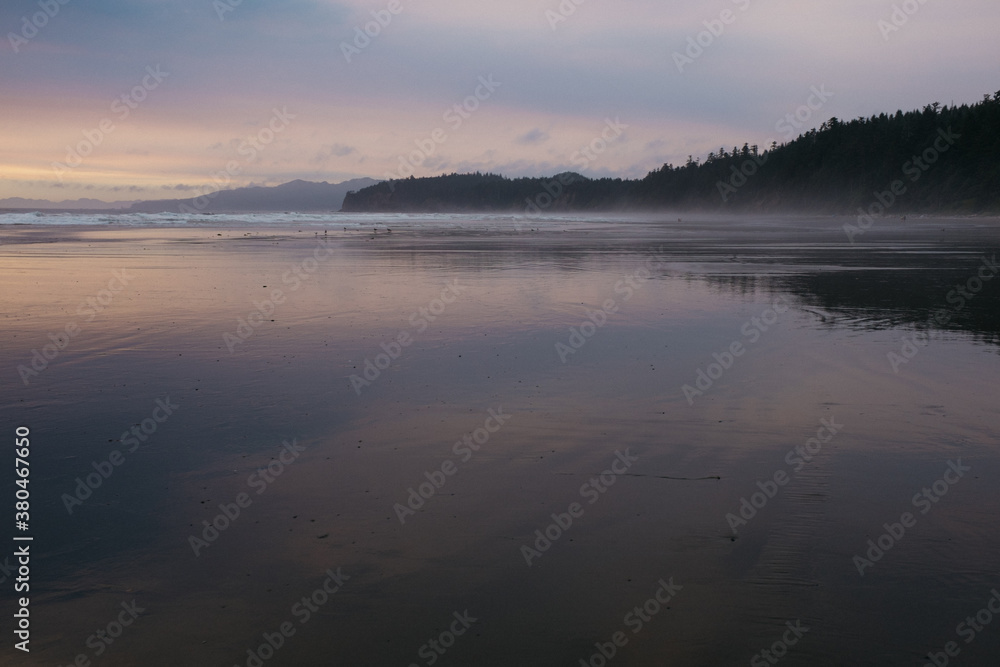 reflection of landscape on water shi shi beach pacific ocean reflection of landscape on water shi shi beach pacific ocean