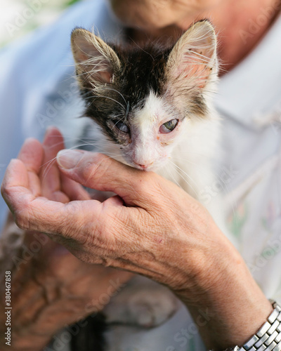 Close up of woman's hands holding stray kitten with eyes sickness just rescued from the street
