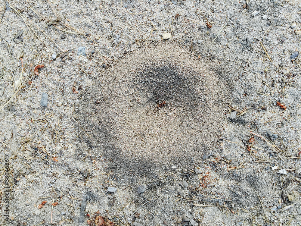 Small anthill on ground surface Small anthill on ground surface
