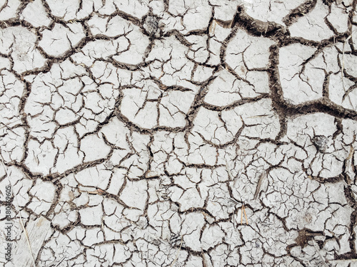 Cracked soil from severe drough photo