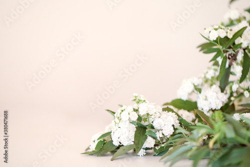 Fototapeta Naklejka Na Ścianę i Meble -  White flowers forming border on one corner with blank background for copy space