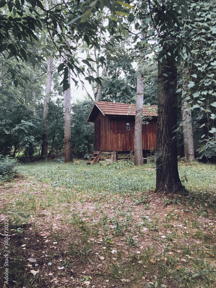 Wooden house Wooden house