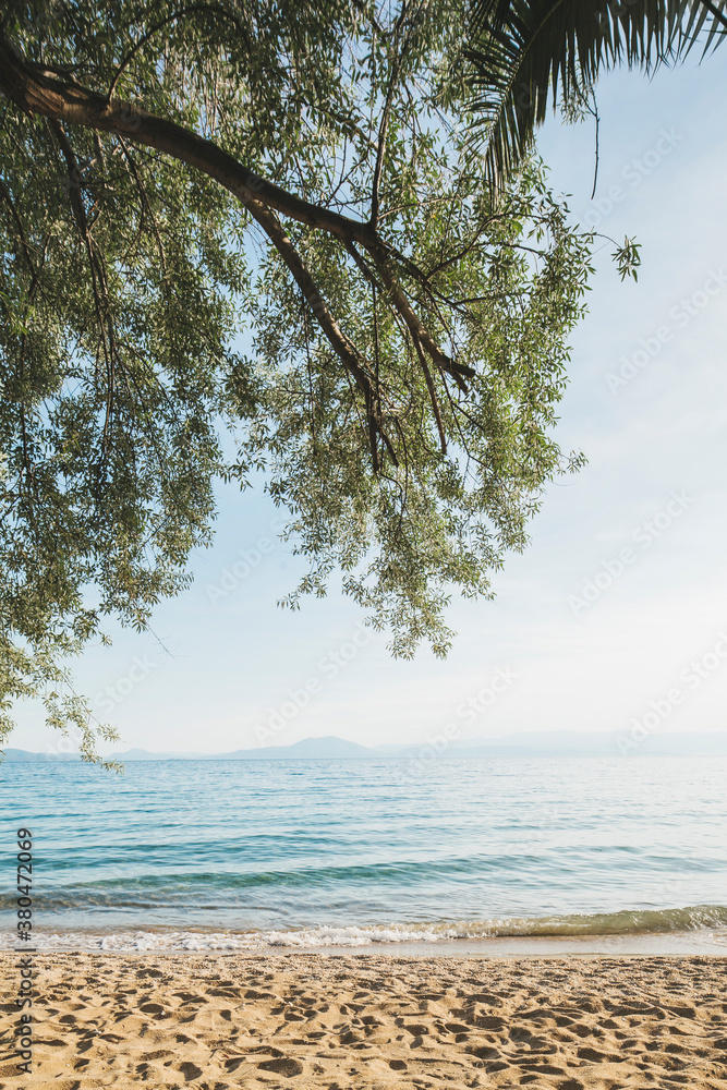 Landscape of greek seascape with trees infront Landscape of greek seascape with trees infront