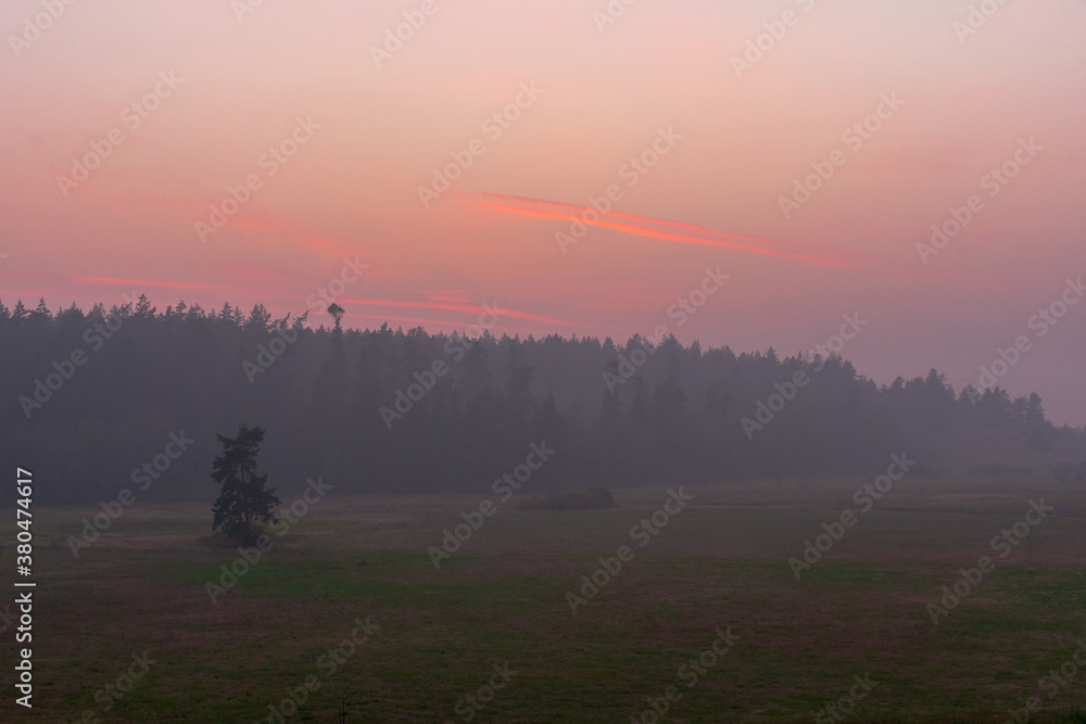 Fototapeta premium Smoke from Oregon wildfires creates unhealthy air quality in Washington