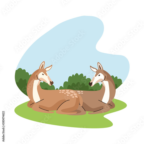 wild fawn animal nature icon