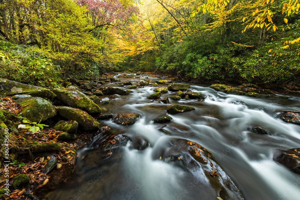 Flowing mountain river rapids Flowing mountain river rapids