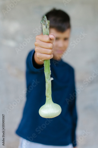 Boy holding up a freshly picked bulb onion photo