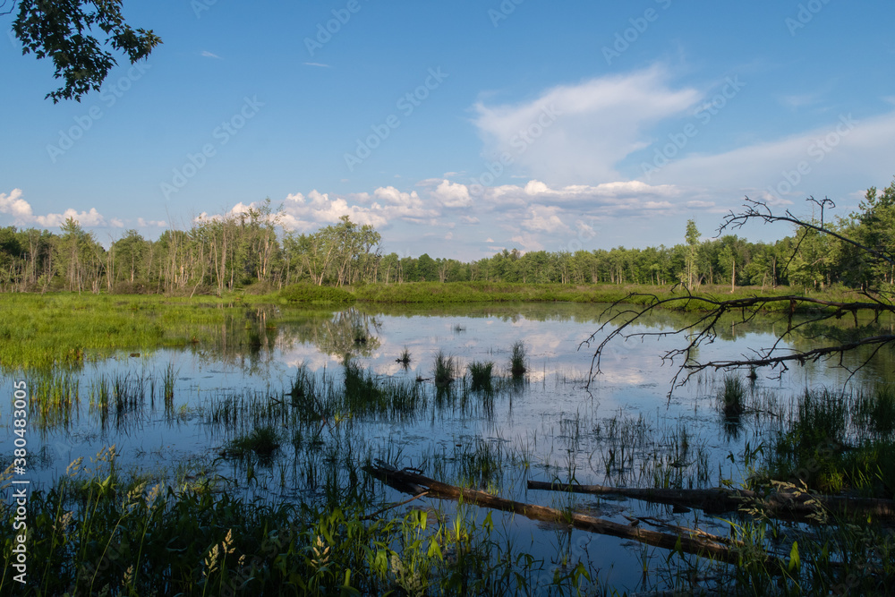 View of a marsh, in the Plaisance national park, Quebec