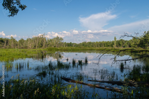 View of a marsh, in the Plaisance national park, Quebec