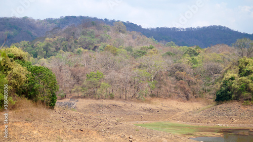 Photography Dry tropical monsoon forest in India