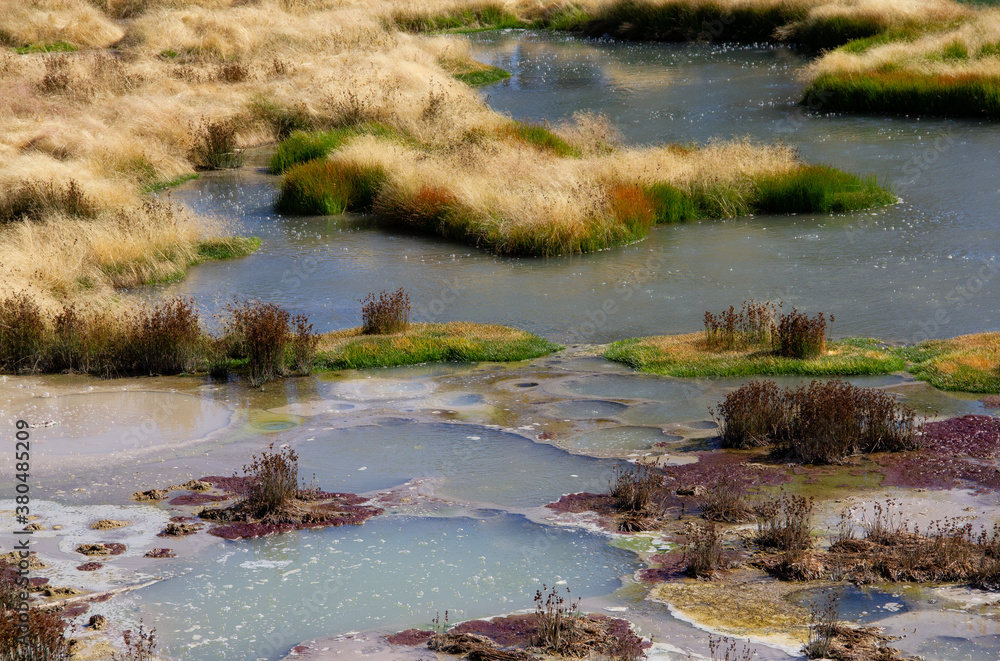 Obraz premium Colorful natural wonderland. abstract natural background. Grass growth on hot spring basin. Yellowstone