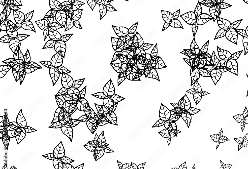 Fototapeta premium Black and White vector abstract pattern with leaves.