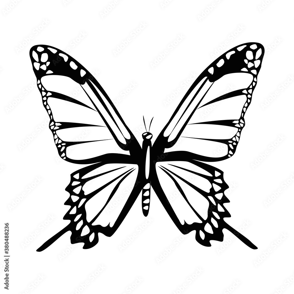 Fototapeta premium beautiful monochrome butterfly flying isolated icon