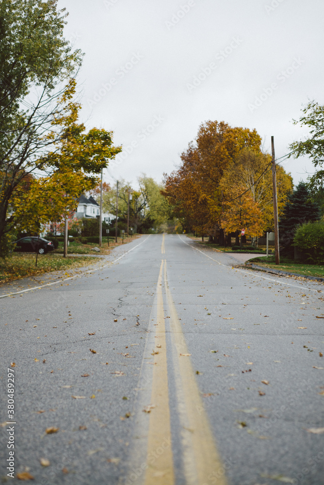 A cloudy gray fall day on a residential road A cloudy gray fall day on a residential road