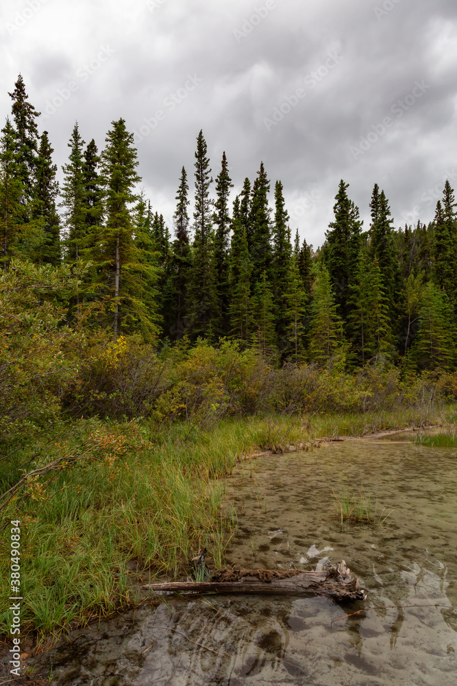 Beautiful View of Emerald Lake during a cloudy summer day. Located near Whitehorse, Carcross, Yukon, Canada. Nature Background Beautiful View of Emerald Lake during a cloudy summer day. Located near Whitehorse, Carcross, Yukon, Canada. Nature Background
