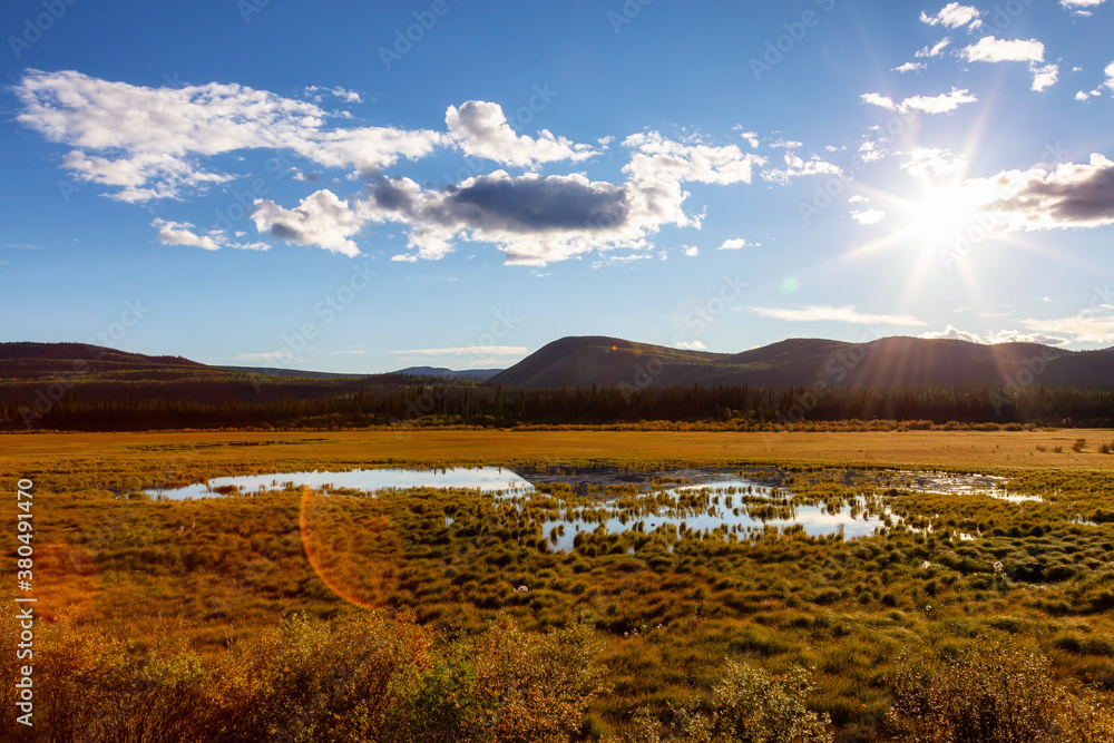 Obraz premium Beautiful View of the Meadow Fields during a sunny sunset in Fall Season. North of Whitehorse, Yukon, Canada.