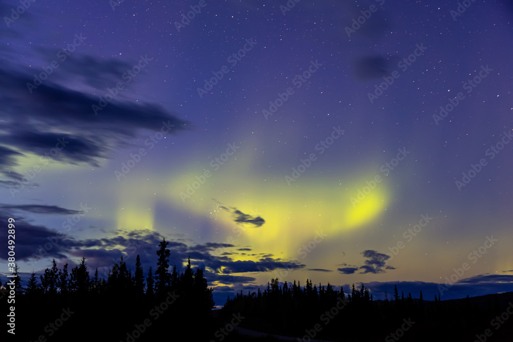Fototapeta premium Northern lights, aurora borealis, in the Canadian Nature at Night. Taken near Whitehorse, Yukon, Canada.