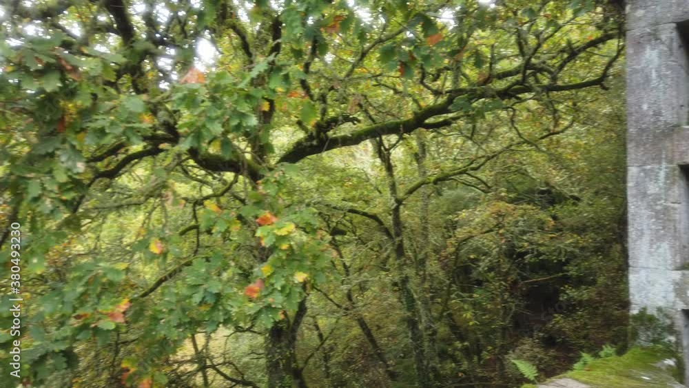 Nature in Monastery of Ribeira Sacra. Ourense,Galicia,Spain Nature in Monastery of Ribeira Sacra. Ourense,Galicia,Spain