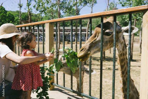 Mother and daughter feeding giraffe photo