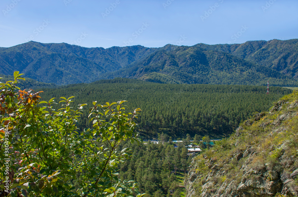 Obraz premium Landscape of mountains in Mountain Altai in Russia a season