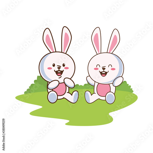 cute little rabbits couple characters in the field scene