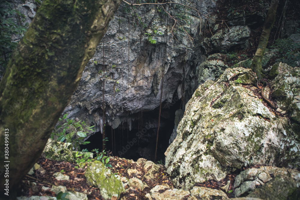 Jungle Cave Entrance