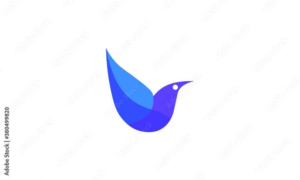 bird logo design vector template bird logo design vector template