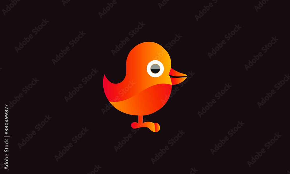 bird logo design vector template bird logo design vector template
