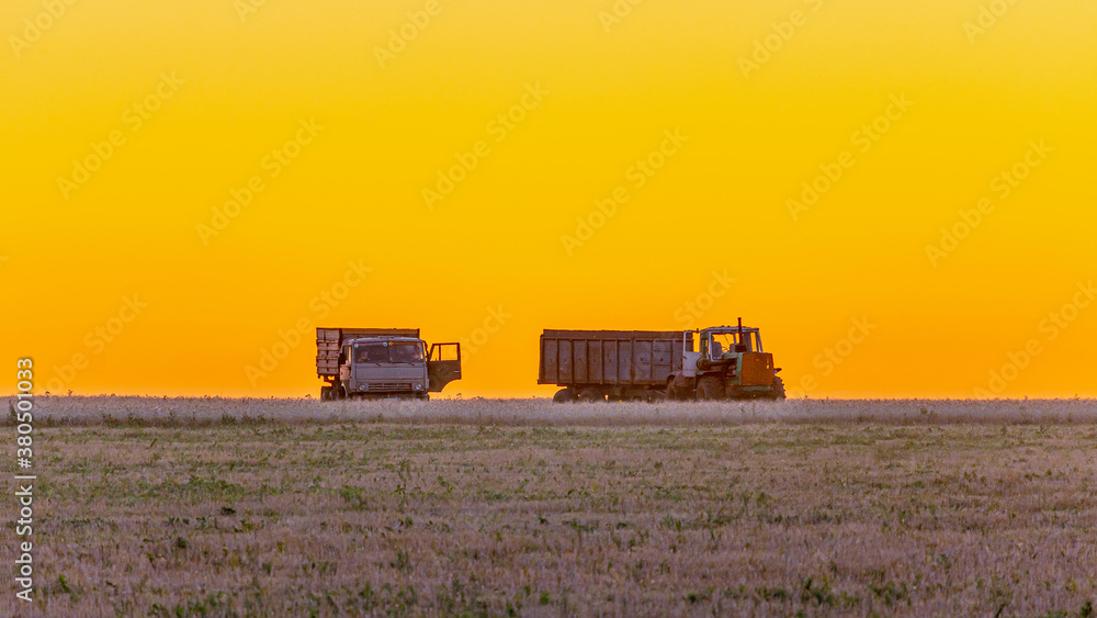 Wheat harvest in the fields at sunset. Technique against an orange sky