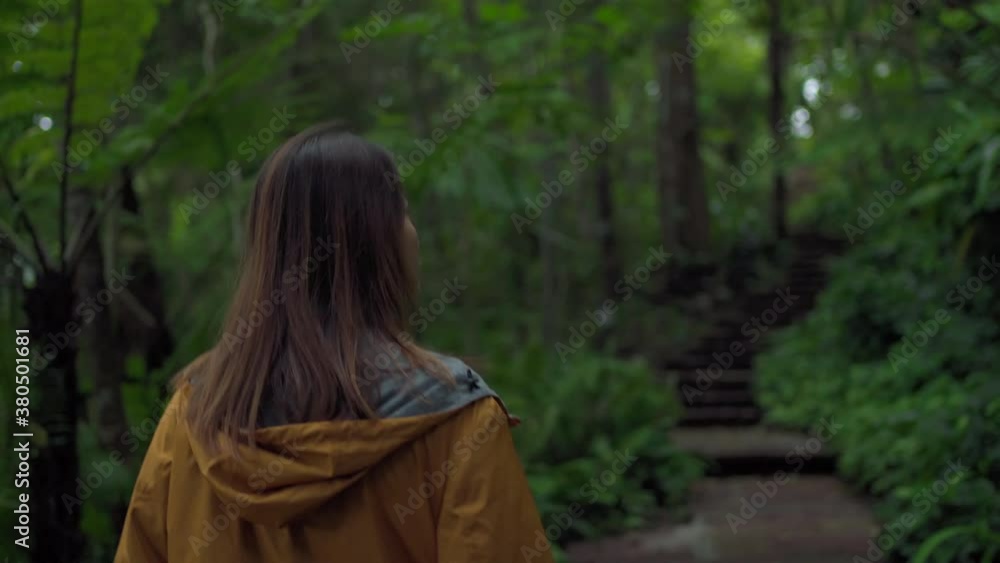 4K Rear view of Young beautiful Asian woman tourist in yellow jacket walking alone on forest footpath. Pretty girl hiker enjoy hiking beautiful nature. Outdoor lifestyle and travel vacation concept. 4K Rear view of Young beautiful Asian woman tourist in yellow jacket walking alone on forest footpath. Pretty girl hiker enjoy hiking beautiful nature. Outdoor lifestyle and travel vacation concept.