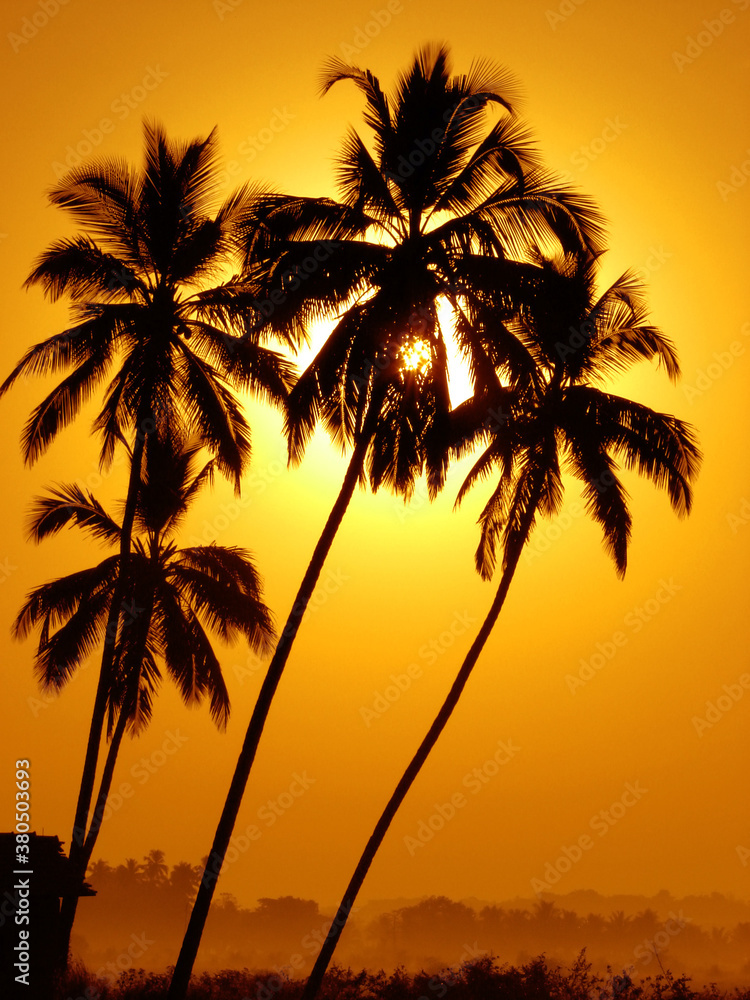 Palm Trees on golden background