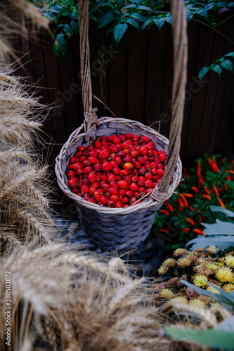 Rowanberry