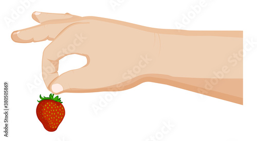 child hand holds a strawberry. Summer berries, ripe juicy fruts. Cooking desserts. Cartoon vector on white background