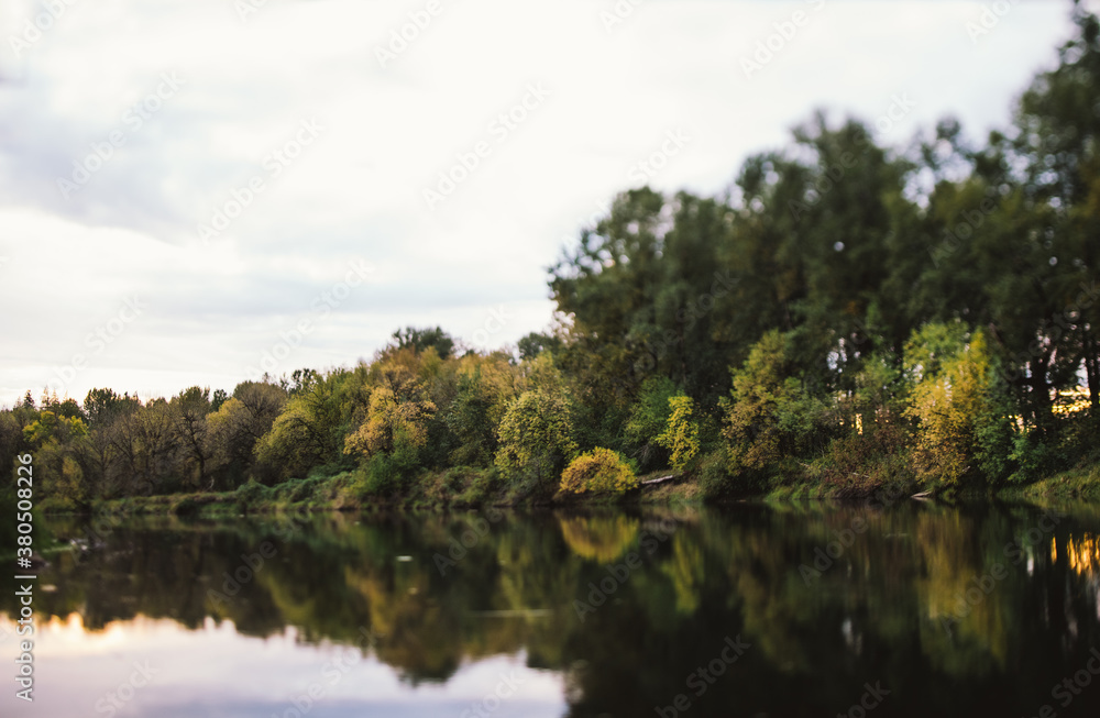 Landscape of autumn forest trees Landscape of autumn forest trees