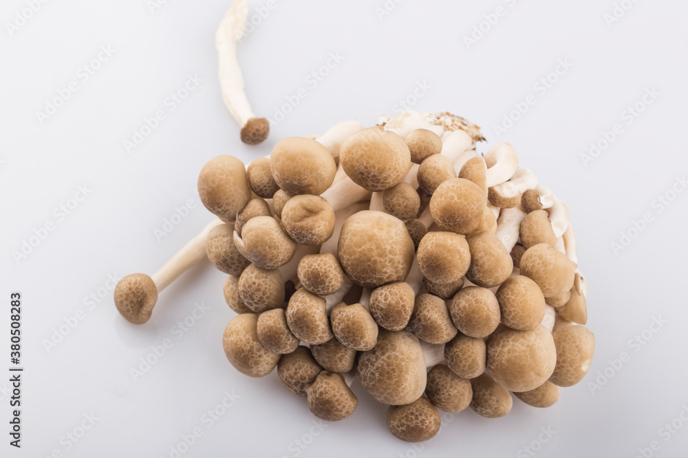 A oyster mushroom isolated on white background. A oyster mushroom isolated on white background.