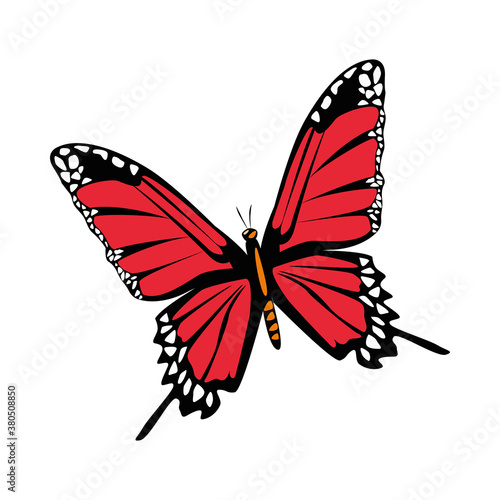 beautiful red butterfly flying isolated icon
