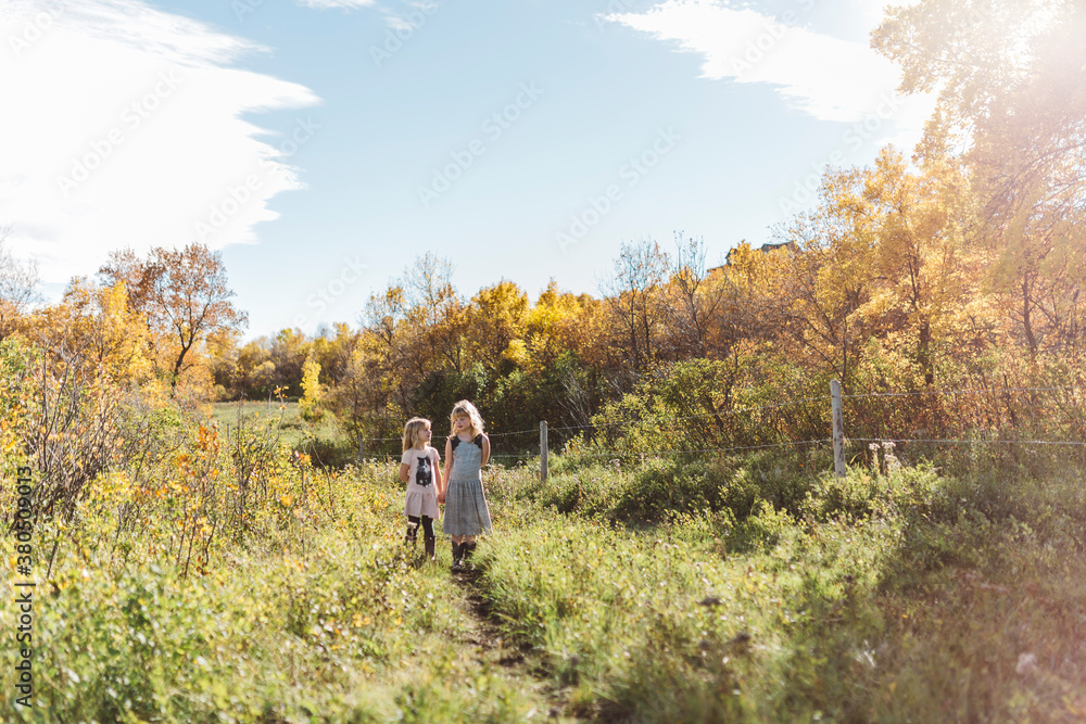 Young girls playing in autumn field Young girls playing in autumn field