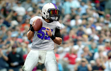 American football quarterback  getting ready to throw a ball with spectator in background