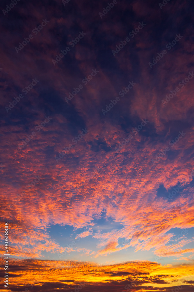 vertical sunset in the evening sky