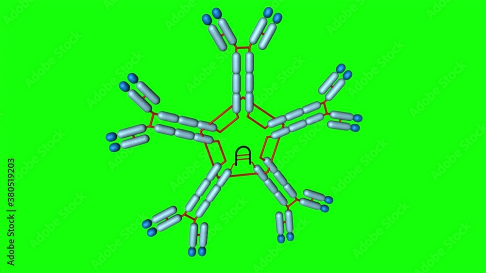 Inmonuglobulina IgG en 3D. Anticuerpos y proteínas en el cuerpo humano..
