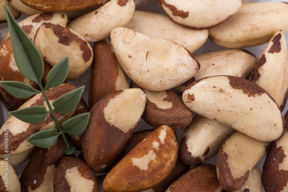 Brazil nuts close-up isolated on white background. Brazil nuts close-up isolated on white background.