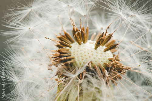 Make a wish photo