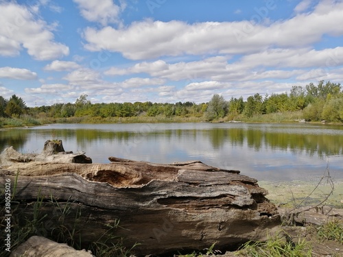 canada national urban park,beautiful nature