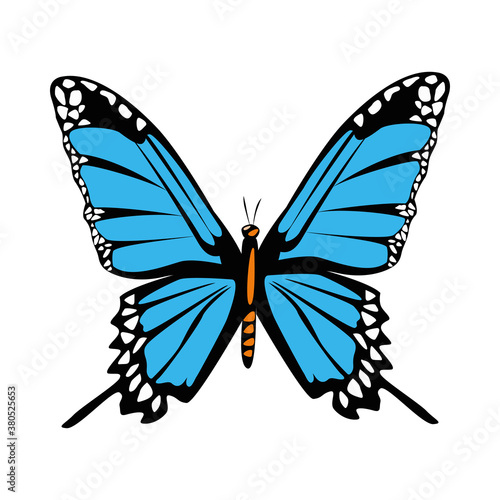 beautiful blue butterfly flying isolated icon